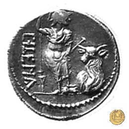 10 - Guerriero e toro 89 BC (Bovianum) 10 - Guerriero e toro 89 BC (Bovianum)